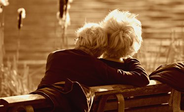 Addressing the needs and concerns of older adults with cancer in Alberta