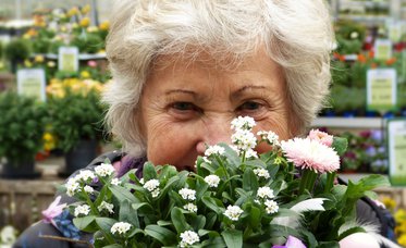Sponsored article: Medicus Pension Plan