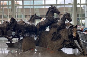 Horses Calgary Airport cropped Alexander Paterson