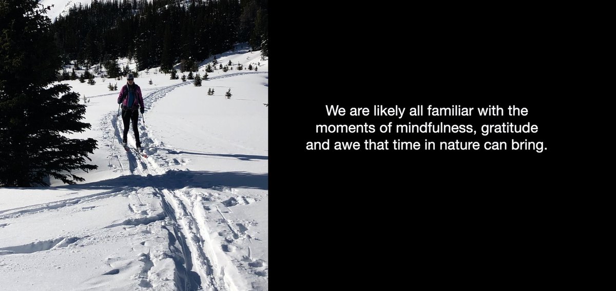 Skiing quote.jpg