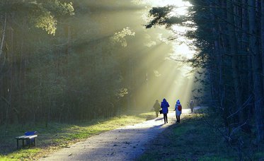 Supporting physician wellness