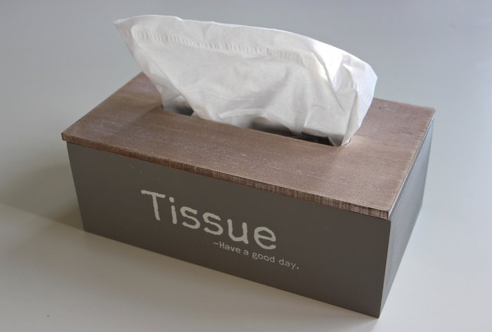 tissue Tabeajaichhalt pixabay.jpg